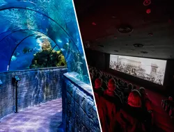 Combo (Save 8%): Malta National Aquarium + The Malta Experience Tickets